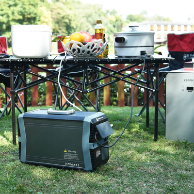 ژنراتور اینورتر برق خورشیدی MPPT Liion Lion Powered 1500W